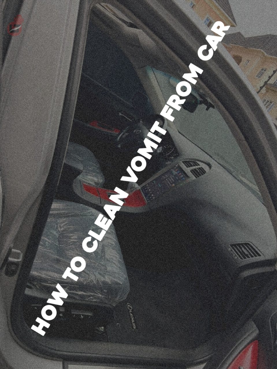 How to Clean vomit from Car