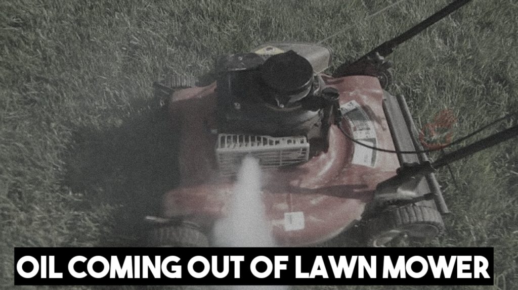 10 Reasons Why Oil is Coming out Of my Lawn Mower Exhaust
