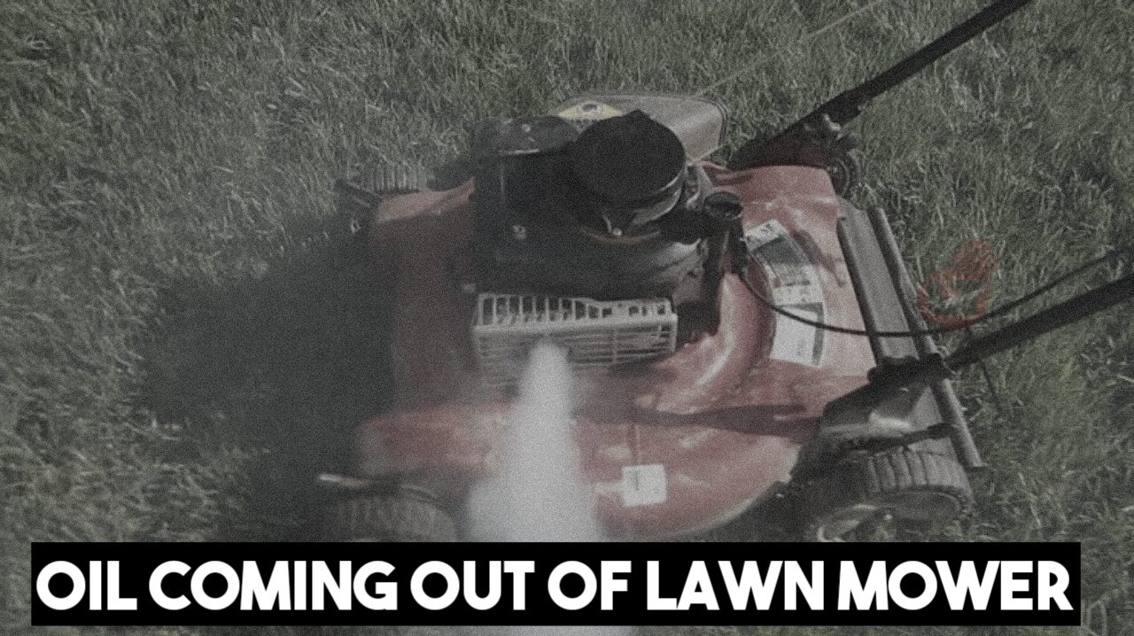 10 Reasons Why Oil is Coming out Of my Lawn Mower Exhaust
